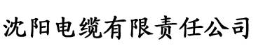 欧美亚洲国产一区二区三区电缆厂logo